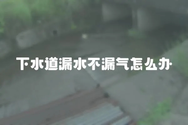下水道漏水不漏氣怎么辦