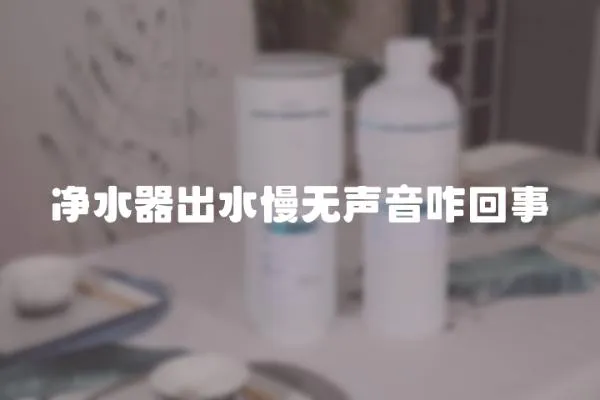 凈水器出水慢無(wú)聲音咋回事