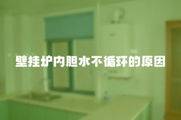 壁掛爐內(nèi)膽水不循環(huán)的原因