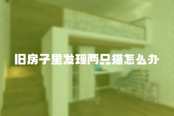 舊房子里發(fā)現(xiàn)兩只貓?jiān)趺崔k