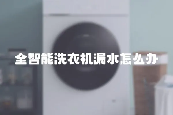 全智能洗衣機漏水怎么辦