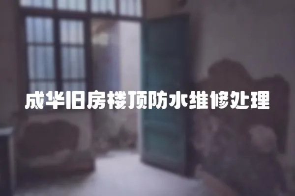 成華舊房樓頂防水維修處理