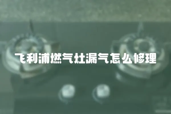 飛利浦燃氣灶漏氣怎么修理