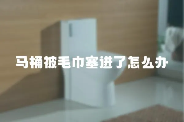 馬桶被毛巾塞進了怎么辦