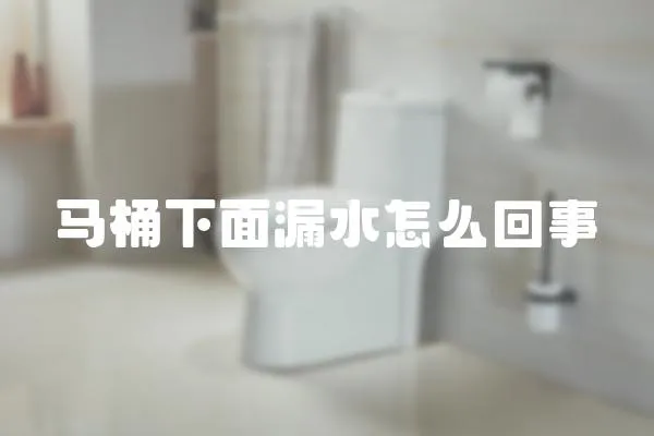 馬桶下面漏水怎么回事