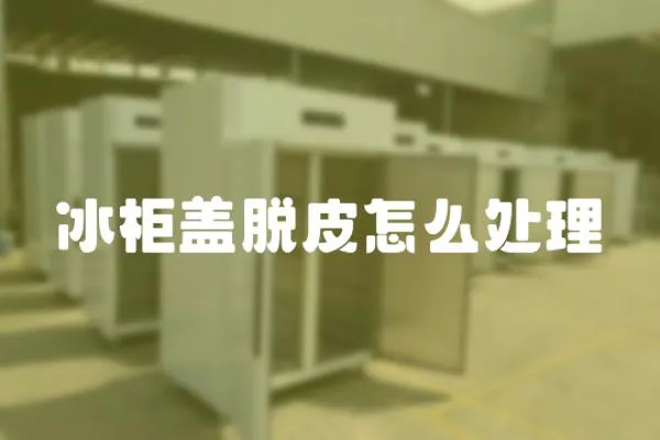 冰柜蓋脫皮怎么處理