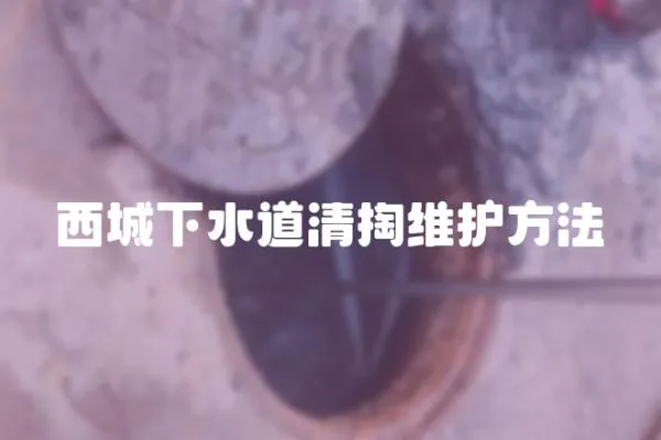 西城下水道清掏維護方法
