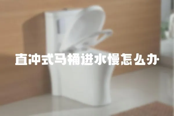 直沖式馬桶進水慢怎么辦