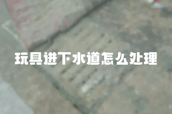 玩具進下水道怎么處理