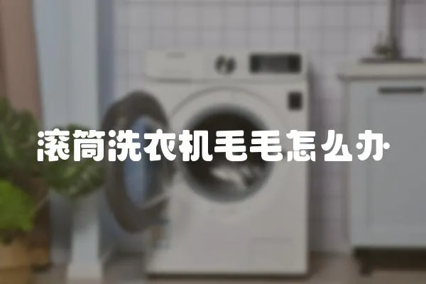 滾筒洗衣機毛毛怎么辦