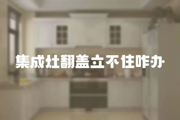 集成灶翻蓋立不住咋辦