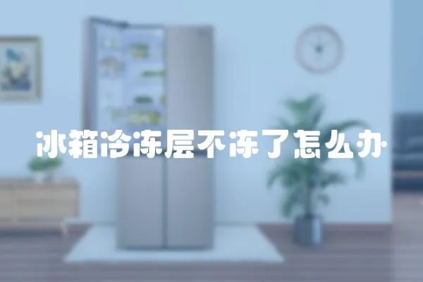 冰箱冷凍層不凍了怎么辦