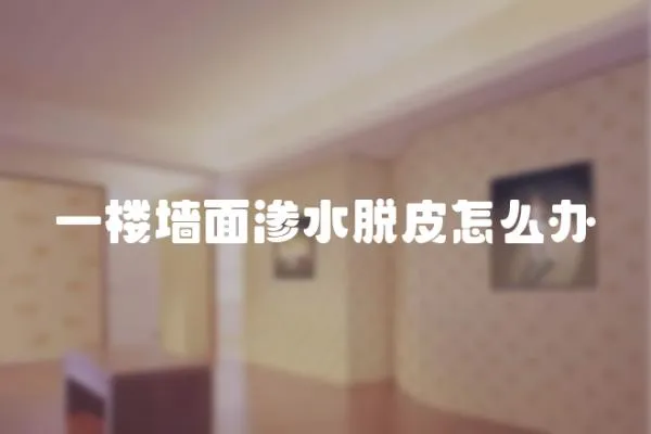 一樓墻面滲水脫皮怎么辦