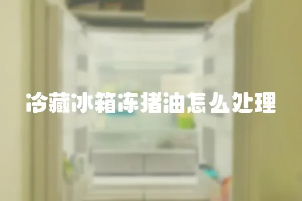 冷藏冰箱凍豬油怎么處理
