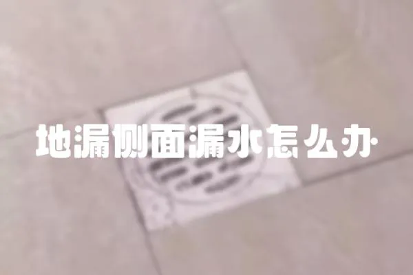地漏側面漏水怎么辦