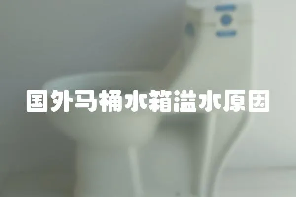 国外马桶水箱溢水原因