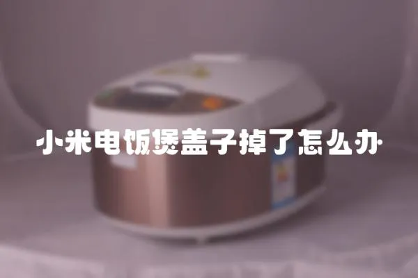 小米電飯煲蓋子掉了怎么辦