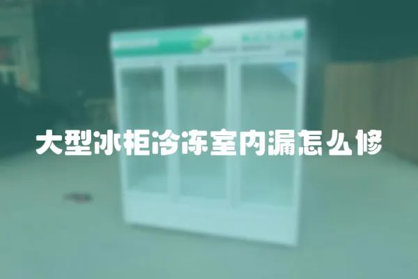 大型冰柜冷凍室內漏怎么修