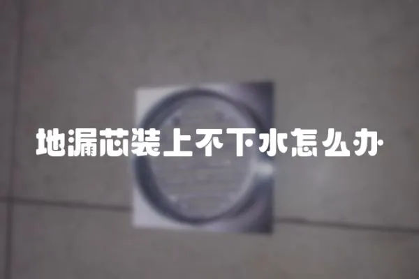 地漏芯裝上不下水怎么辦