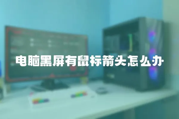 電腦黑屏有鼠標箭頭怎么辦