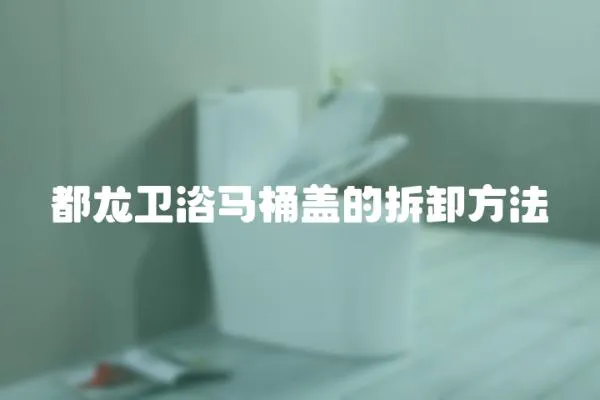 都龍衛(wèi)浴馬桶蓋的拆卸方法