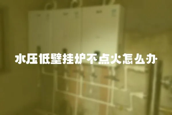 水壓低壁掛爐不點火怎么辦