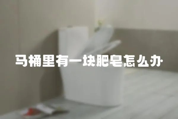 馬桶里有一塊肥皂怎么辦