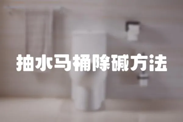 抽水馬桶除堿方法