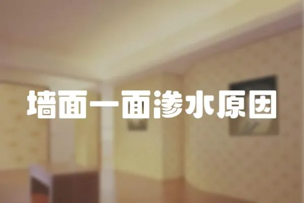墻面一面滲水原因