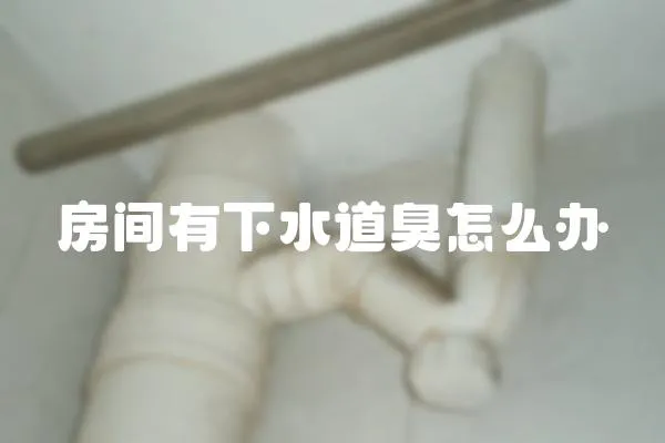 房間有下水道臭怎么辦