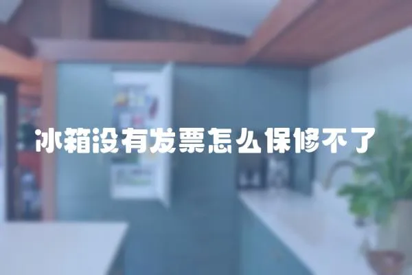冰箱沒有發(fā)票怎么保修不了