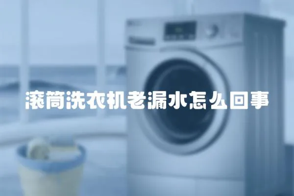 滾筒洗衣機老漏水怎么回事