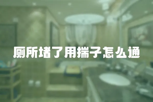 廁所堵了用揣子怎么通