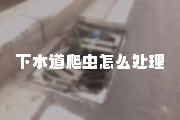 下水道爬蟲怎么處理