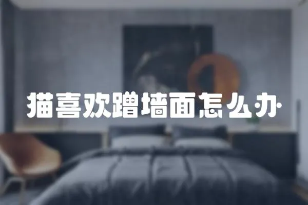 貓喜歡蹭墻面怎么辦