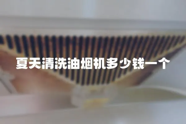 夏天清洗油煙機多少錢一個
