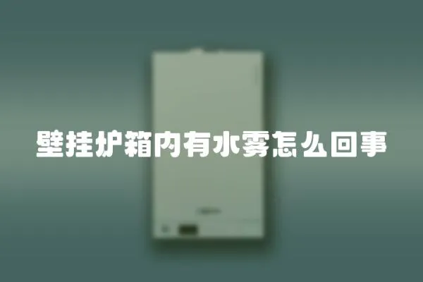 壁掛爐箱內有水霧怎么回事