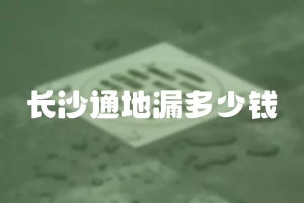 長沙通地漏多少錢