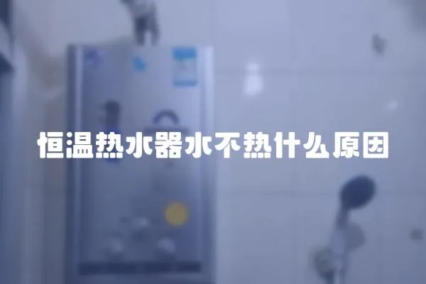 恒溫熱水器水不熱什么原因