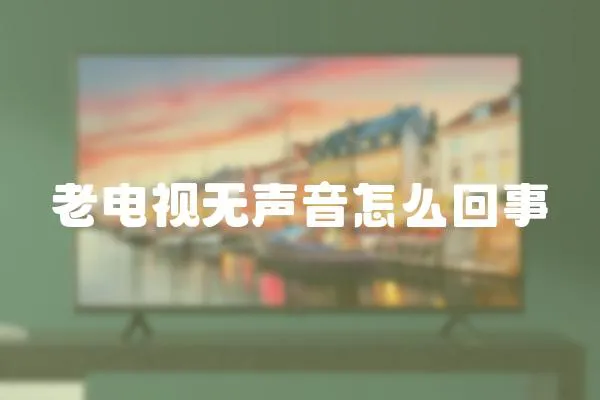 老電視無聲音怎么回事