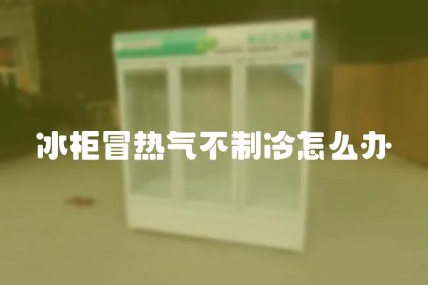 冰柜冒熱氣不制冷怎么辦
