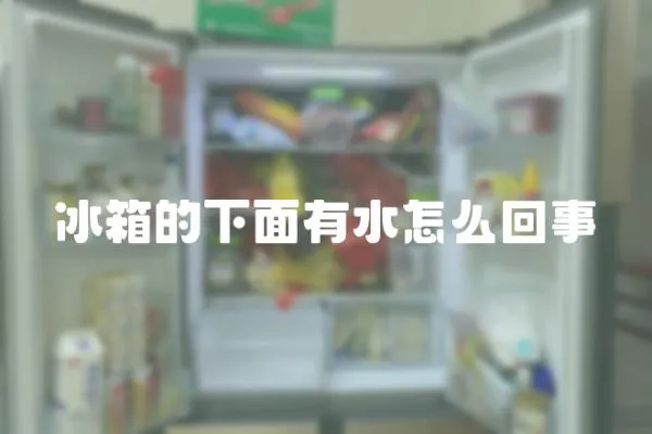 冰箱的下面有水怎么回事