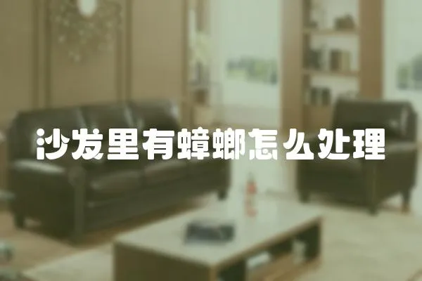沙發里有蟑螂怎么處理