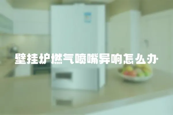 壁掛爐燃氣噴嘴異響怎么辦