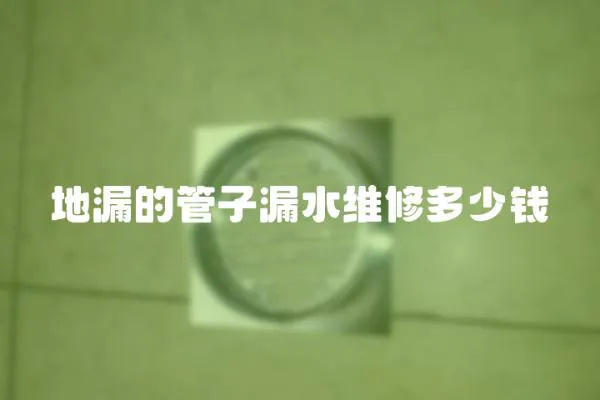 地漏的管子漏水維修多少錢