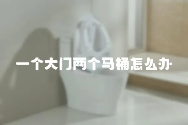一個大門兩個馬桶怎么辦