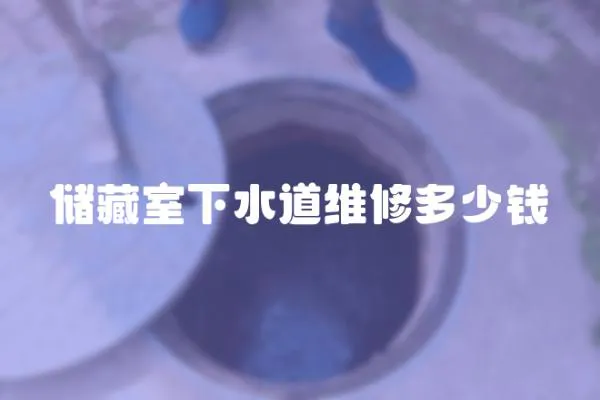 儲(chǔ)藏室下水道維修多少錢(qián)