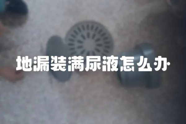 地漏裝滿尿液怎么辦