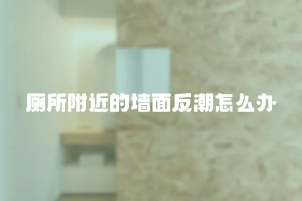 廁所附近的墻面反潮怎么辦