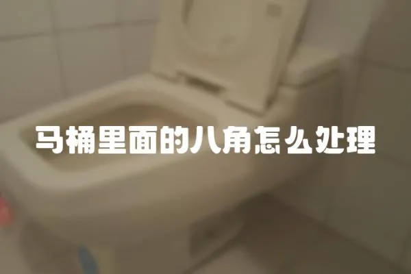 馬桶里面的八角怎么處理